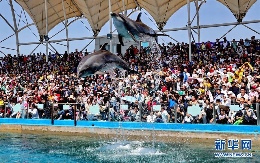 #（社會）（7）樂享“五一”假期