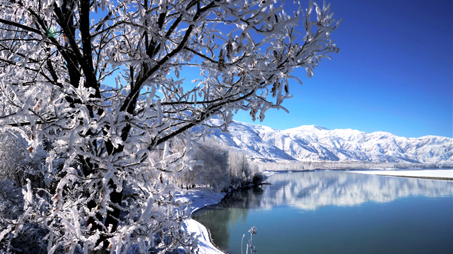 西藏:雅江現霧凇奇觀