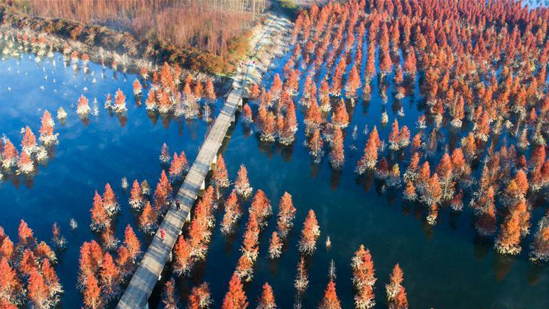 昆明：滇池上游濕地美如畫