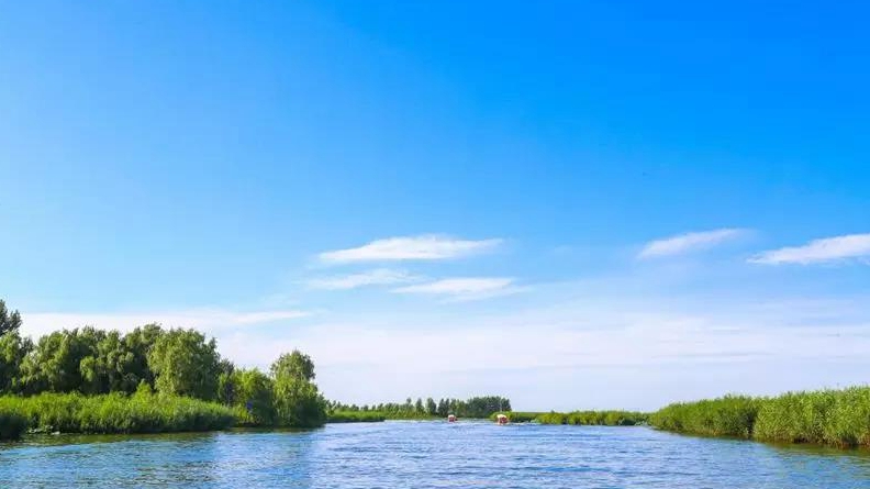 雄安新區(qū)今年將全力打好水污染防治攻堅戰(zhàn) “一源四措”推進白洋淀水質(zhì)明顯改善