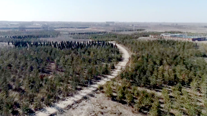 【視頻】習(xí)近平:雄安發(fā)展要踐行生態(tài)優(yōu)先