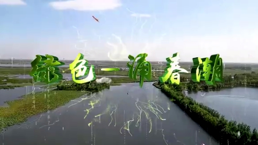 綠色——涌春潮