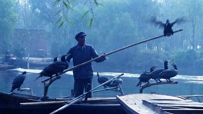 用真情謳歌家鄉 用畫筆留住鄉愁——對話河北文化學者、著名書畫家王福增