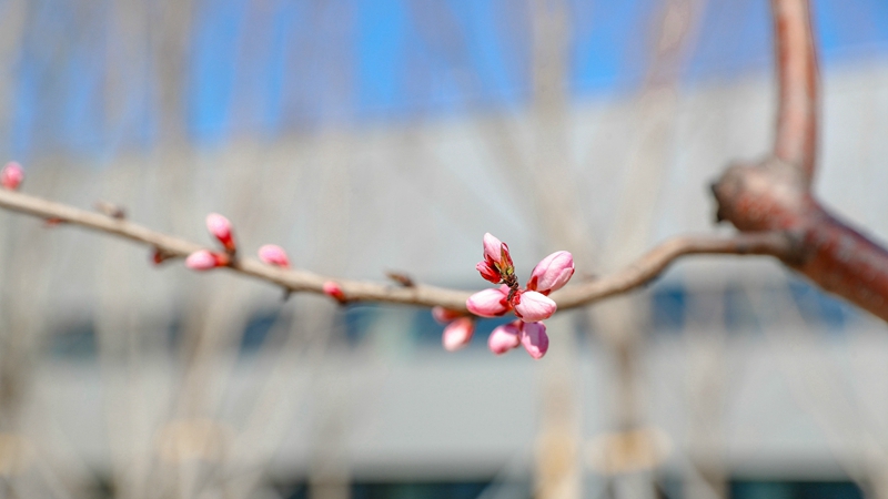 【高清大圖】真美啊!