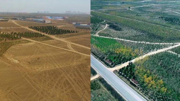 這里,兩年之間發生了巨變