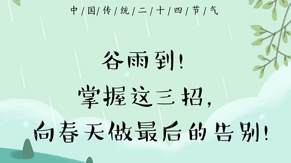 谷雨到！掌握這三招，向春天做最后的告別！