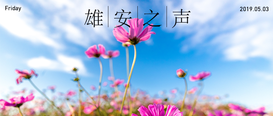 【雄安之聲】20190503