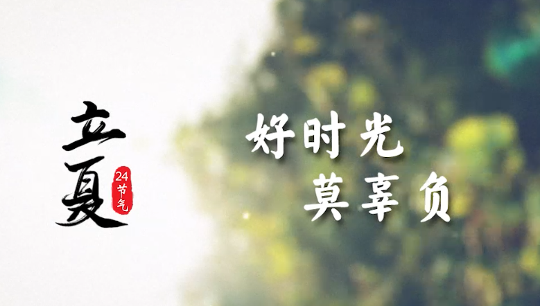 立夏|好時光,莫辜負!