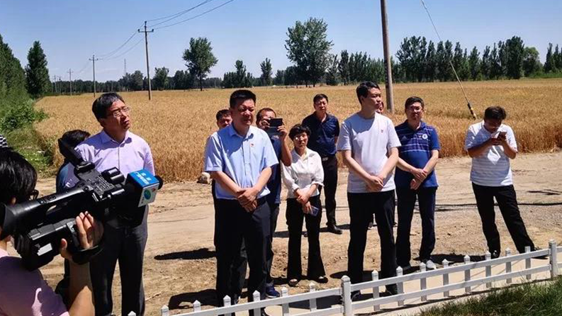 白洋淀區域生態治理“紅黑榜”(四十一)