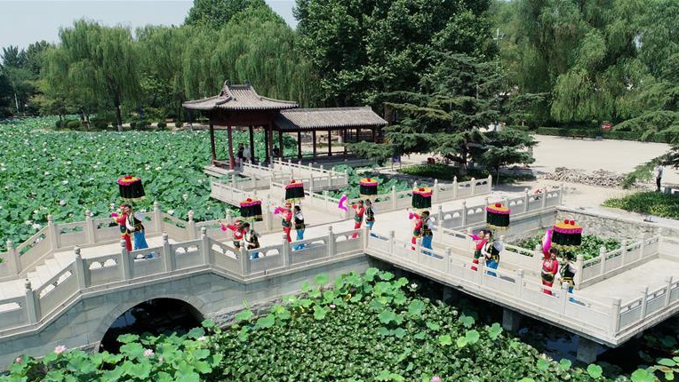 河北石家莊:晉州官傘