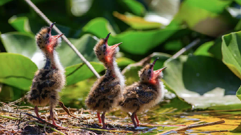 有你們,才是小歡喜!