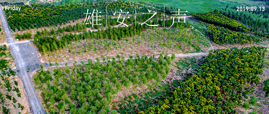 【雄安之聲】20190913