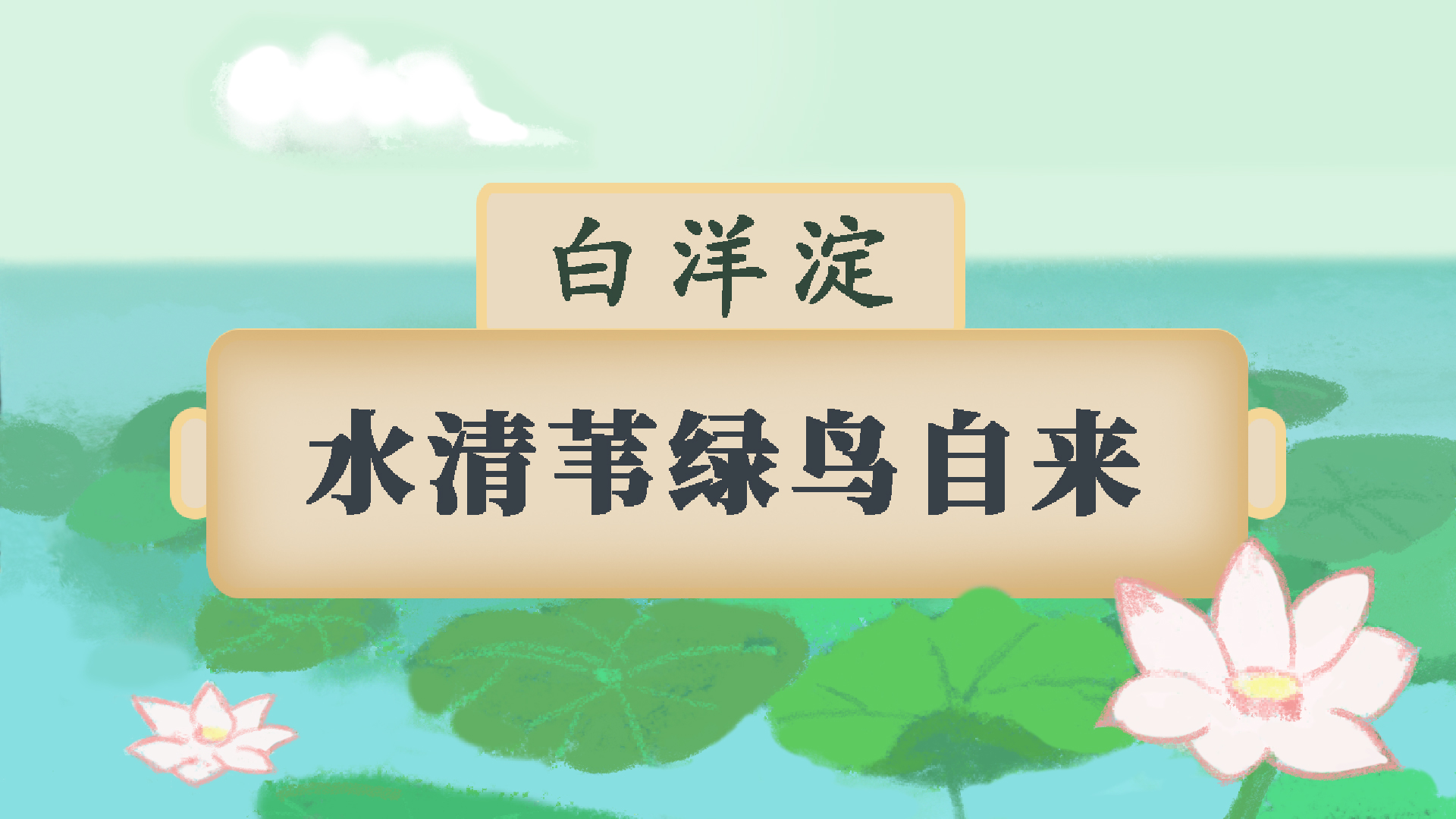 白洋淀:水清葦綠鳥(niǎo)自來(lái)