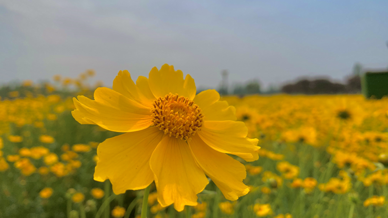 時光正好,微風不燥,暢享舒適生活