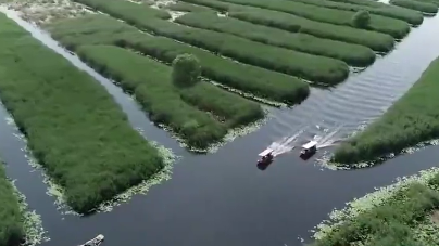 升級(jí)改造后的白洋淀景區(qū)有哪些新變化?央視記者探訪來(lái)了