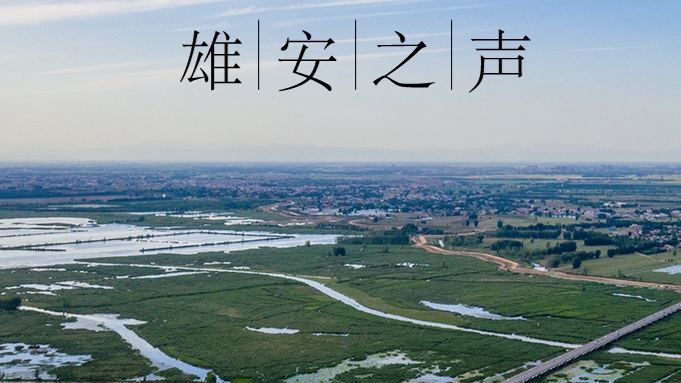 【雄安之聲】20230629