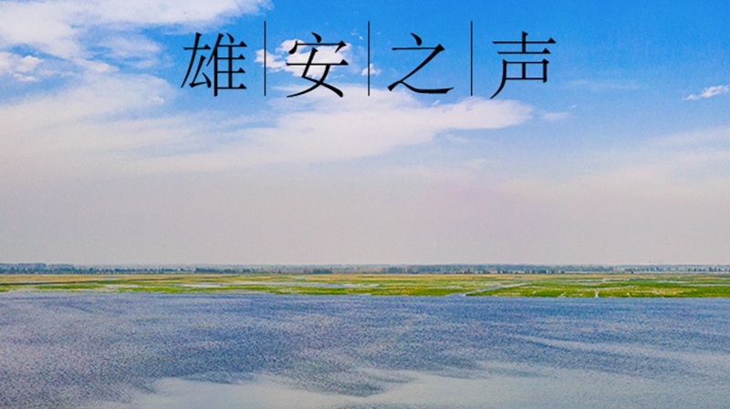 【雄安之聲】20230630