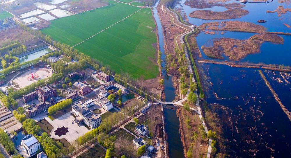 雄安新區:保護碧水藍天 白洋淀治理加速